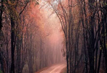 瑞士队获得胜利，成功晋级国际赛事