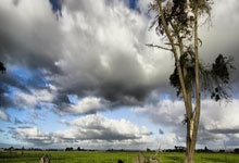 国家队备赛：备赛进展卓有成效