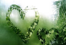 瑞士队获得胜利，成功晋级国际赛事