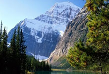 奥地利队逆袭之旅：欧洲杯四分之一决赛的辉煌篇章