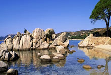 摩纳哥在主场失利，遭遇颓势